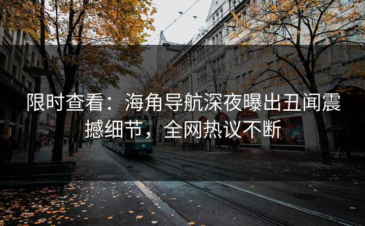 限时查看：海角导航深夜曝出丑闻震撼细节，全网热议不断
