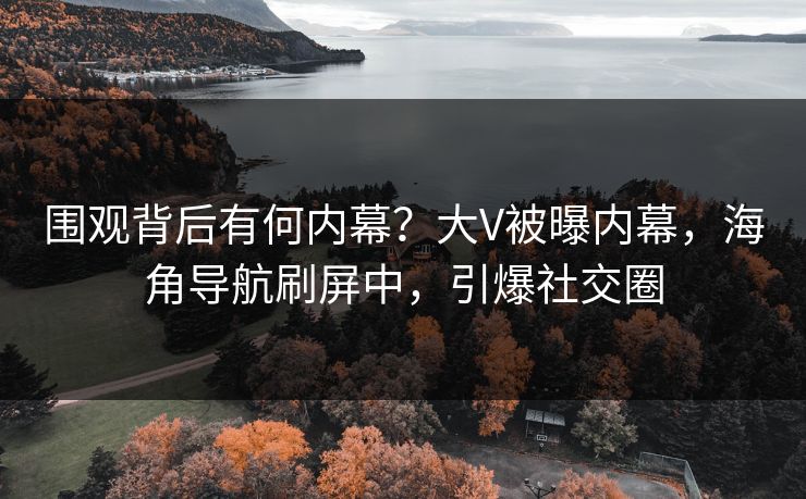 围观背后有何内幕？大V被曝内幕，海角导航刷屏中，引爆社交圈
