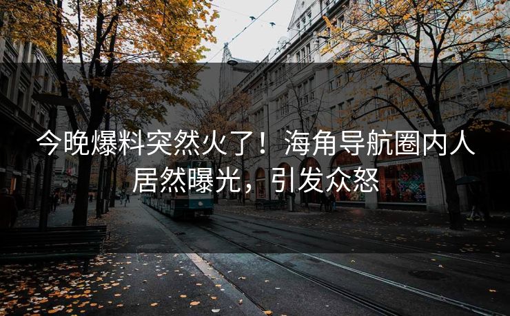 今晚爆料突然火了！海角导航圈内人居然曝光，引发众怒