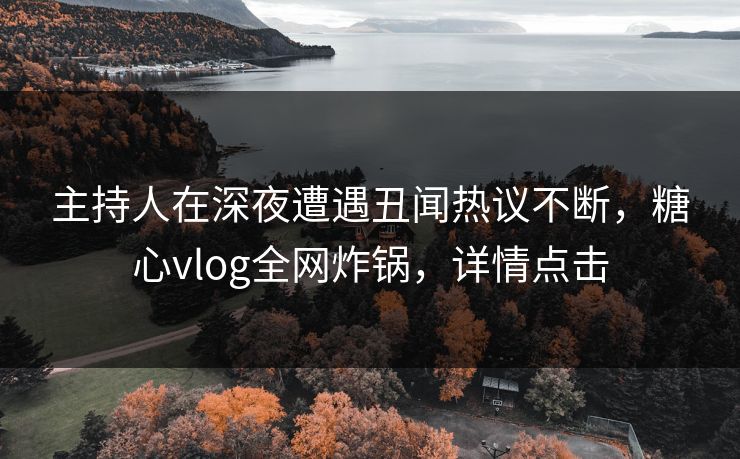 主持人在深夜遭遇丑闻热议不断，糖心vlog全网炸锅，详情点击